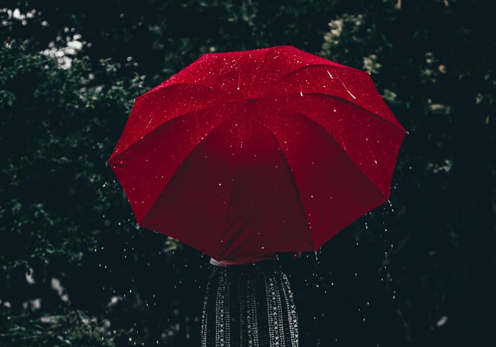 A vibrant red umbrella is shielding its holder from rain, surrounded by a dark, lush forest backdrop. Raindrops cascade off the umbrella, creating a serene and moody scene.