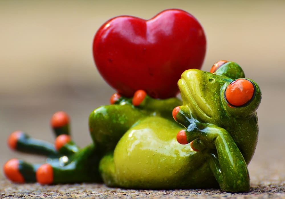 Adorable green frog figurine lying down while holding a red heart, symbolising love and romance on Valentine’s Day.